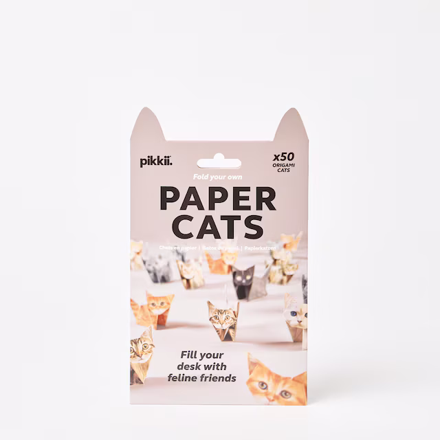Origami cat box