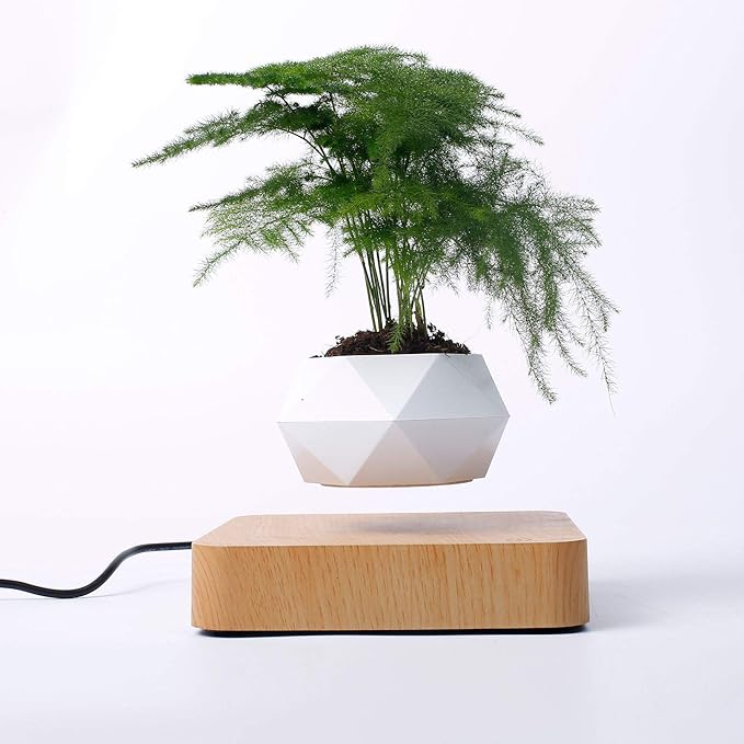 Levitating Plant Pot That Makes Your Plants Float Like Magic